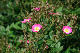 image0325
