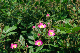 image0326