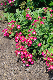image0328
