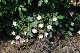 image0329