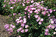 image0330