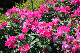 image0331