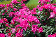 image0332