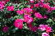 image0333