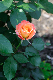 image0335