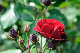image0341