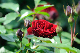 image0343