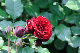 image0344
