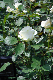 image0349