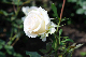 image0351