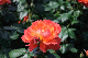 image0356