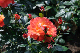 image0358