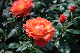 image0359