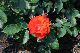 image0360