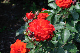 image0361