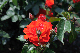 image0362