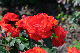 image0364