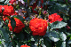 image0366