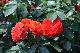 image0367