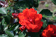 image0369