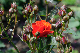 image0371