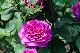 image0372