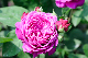 image0374