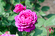 image0375