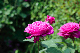 image0378