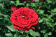 image0380