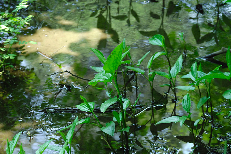 image0097