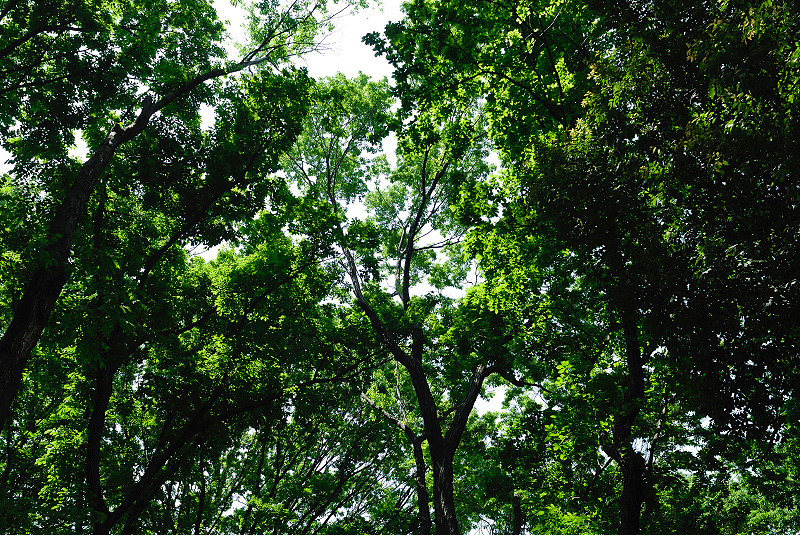 image0109