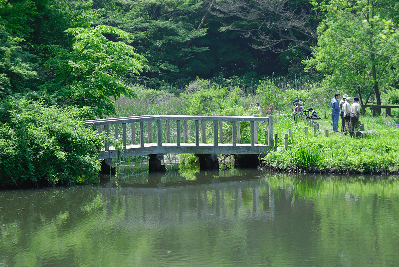image0115