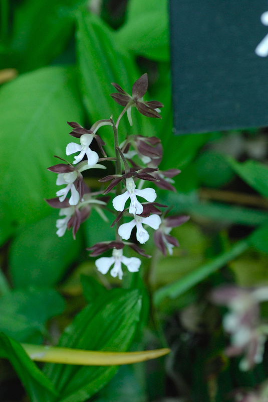 image0119