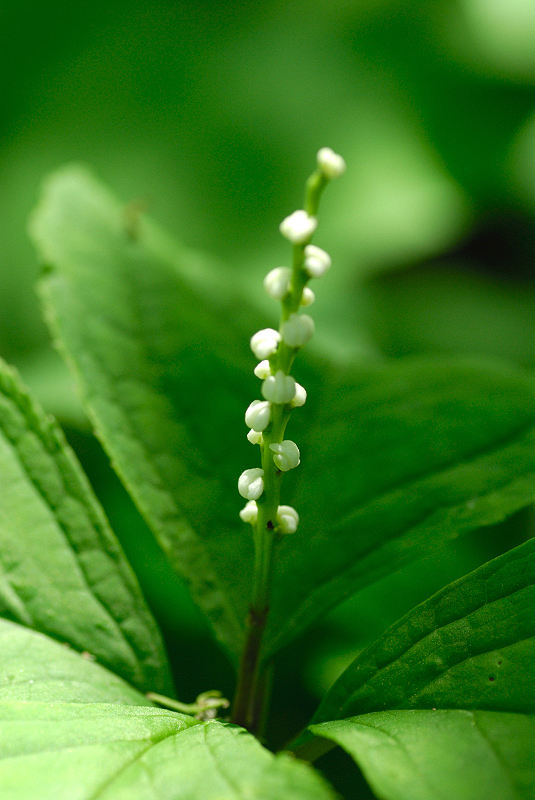 image0123