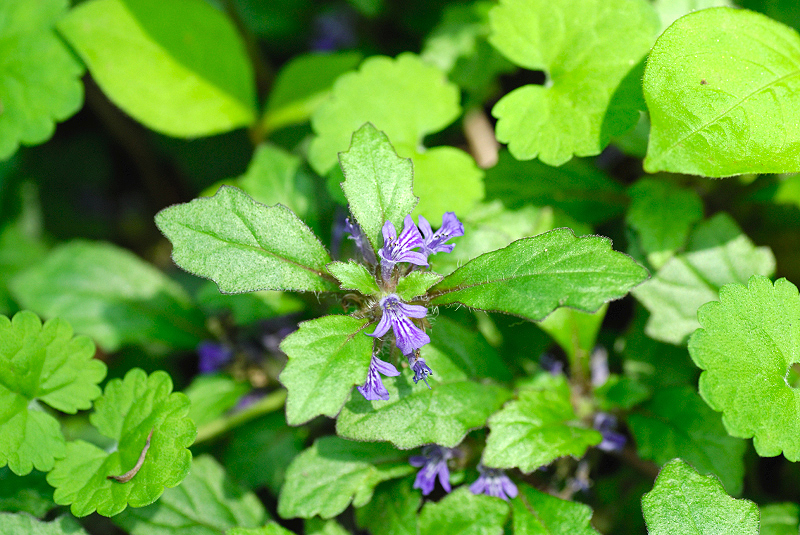 image0126