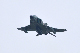 image0549