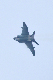 image0618