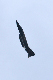 image0637
