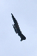 image0638