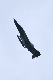 image0639