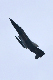 image0640