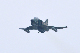 image0661