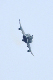 image0694