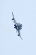 image0695