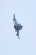image0697