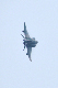 image0698