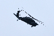 image0759