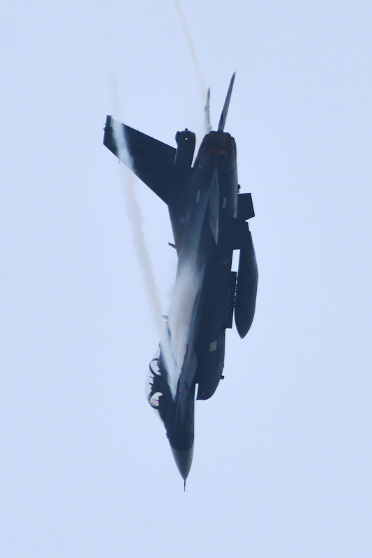 image0388