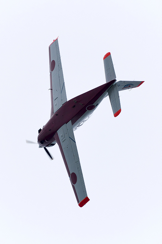 image0769
